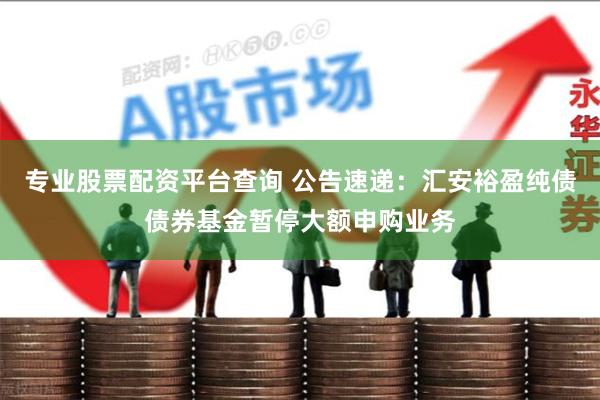 专业股票配资平台查询 公告速递：汇安裕盈纯债债券基金暂停大额