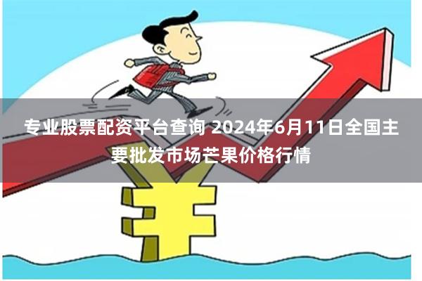 专业股票配资平台查询 2024年6月11日全国主要批发市场芒