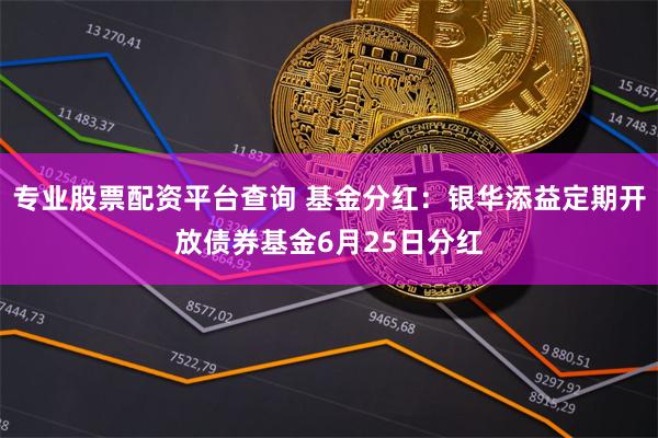 专业股票配资平台查询 基金分红：银华添益定期开放债券基金6月